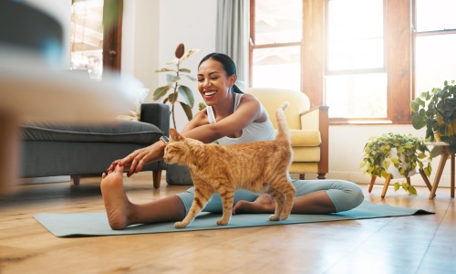 Local Veterinarian Offices Cover Image
